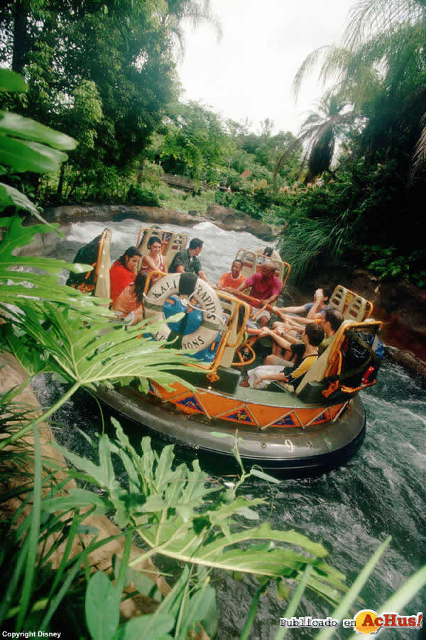 Imagen de Disney´s Animal Kingdom  Kali River Rapids 3